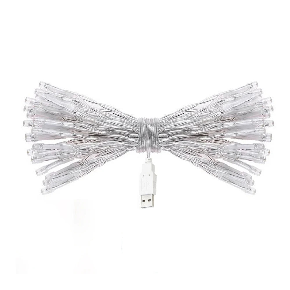 Christmas Fairy Lights Decoration -  Click Save