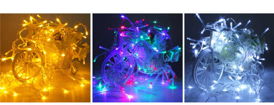 Christmas Fairy Lights Decoration -  Click Save