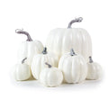 Pumpkins Assorted Decor Set -  Click Save