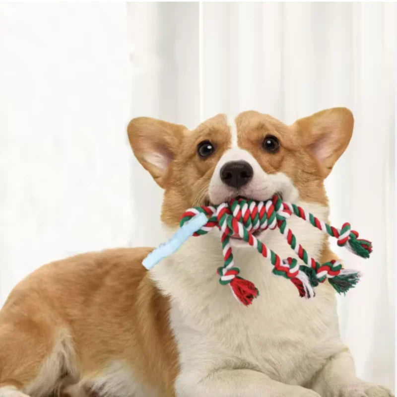 Christmas Chew Toy -  Click Save