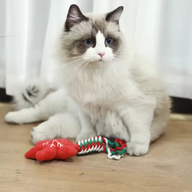 Christmas Chew Toy -  Click Save