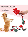 Festive Plush Chew Toy -  Click Save